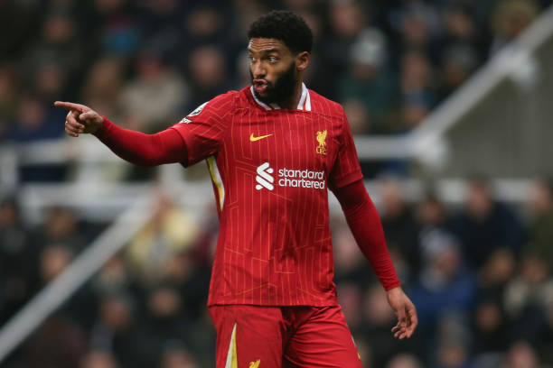 成为布洛马 成为布洛马